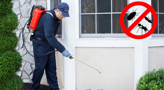 Datça Karınca İlaçlama böcek ilaçlama ve haşere kontrolü — ilaclama-tr.com